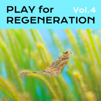 横浜の共創スペース「リジェラボ」で11月17日にトークイベント「PLAY for REGENERATION Vol.4『海の再生をビジネスで広げよう。』」を開催
