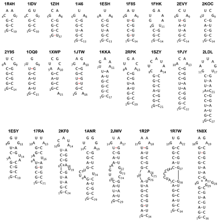 RNAステムループの折りたたみダイナミクスを分子動力学シミュレーションで再現 ～RNAのデザインや創薬分野への応用に期待～