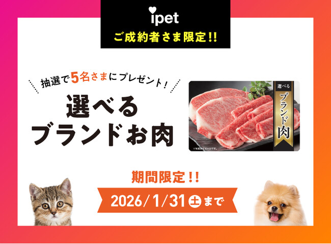 ブランドお肉が当たる！ペット保険『アイペット損保』のご成約キャンペーン開催！｜ペット保険比較のピクシー