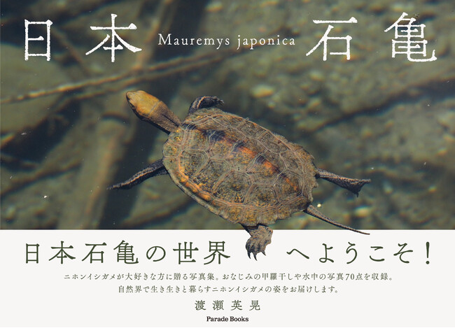 ニホンイシガメが大好きな方に贈る写真集『日本石亀』の電子書籍版が発売！甲羅干しや水中の写真を100点収録。