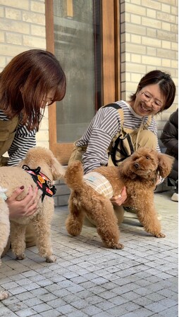 【ドッグ業界発！】美容サロンが犬のトータルビューティーを提案　M.SLASHグループenble（株式会社EVO）が「スウェーデン式ドッグマッサージ」と「出張プライベートレッスン」を開始