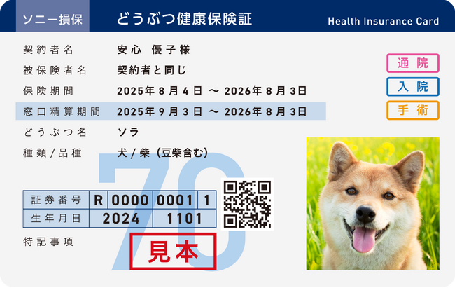 アニコム損保とソニー損保が共同でペット保険の販売を開始