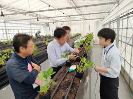 デンソー×DPT(1)