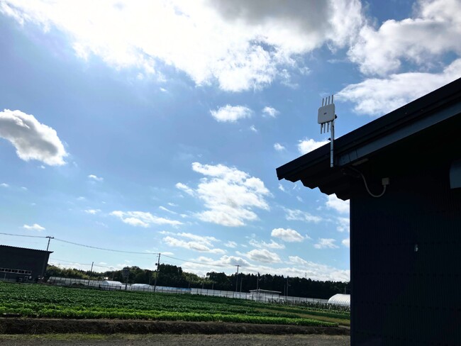 文教DXの新たなモデル。補助金を活用し、フィールド学習の「分断」を解消