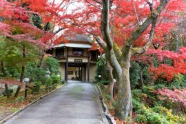 長寿門 紅葉イメージ 長寿門 紅葉イメージ