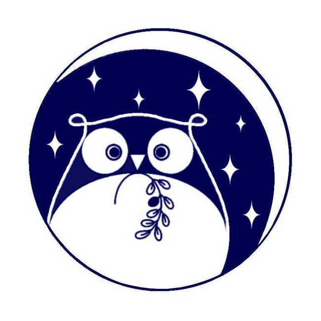 あなたの街の星空観望会を一緒に作りませんか「若手とつくる全国星空観望会プロジェクト」を共催参加者募集中！