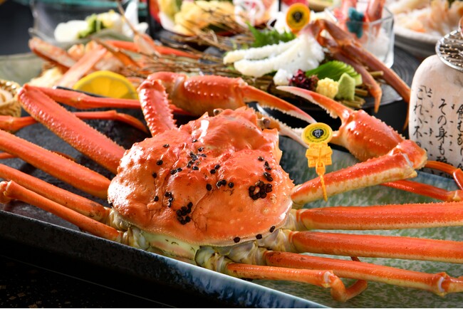 いよいよ越前がに漁が解禁！休暇村越前三国では、1日限定30食の越前がにを2杯使った会席を11月7日より販売～美食都市アワード２０２５受賞の坂井市～