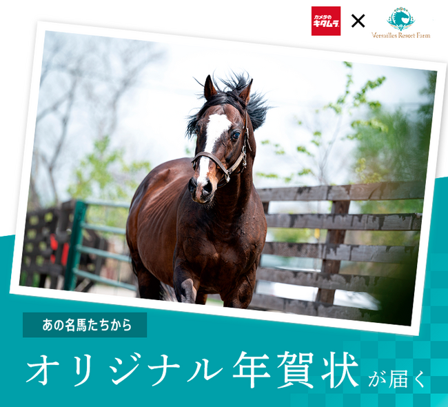カメラのキタムラ　推しの名馬デザインの年賀状が届く「ヴェルサイユリゾートファーム」コラボ年賀状を限定販売