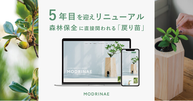 「戻り苗」ブランドサイトをリニューアル。“育てる・植える・使う”森との循環を広げる5期目へ