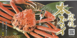 越後本ズワイガニ　11月6日 水揚げ解禁！誕生9年目のブランドガニ　100匹に1匹の味わいで人気上昇中