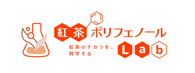 【開催レポート】様々な健康への作用解明が進む「紅茶ポリフェノール」に関する最新知見を紹介