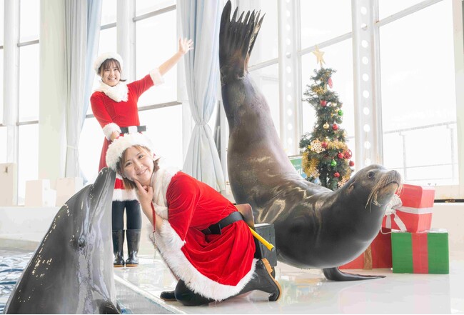 「クリスマス アクアワールド2025」開催！2025年11月13日（木）から12月25日（木）までの期間限定！