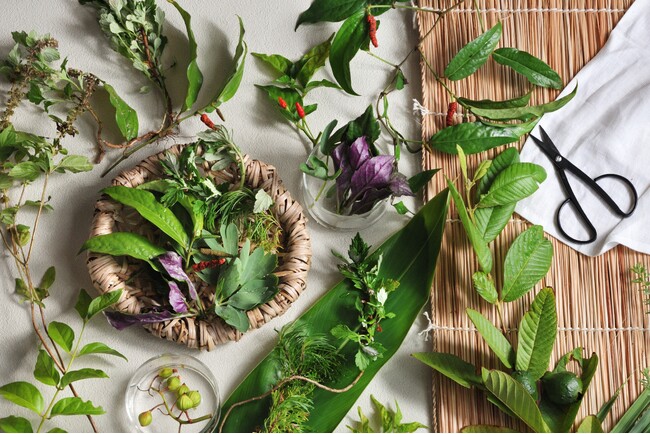 【星のや竹富島】冬の寒さや春の花粉と無縁の沖縄・竹富島で健やかな身体へと導く「命草（ぬちぐさ）ゆくい滞在」提供