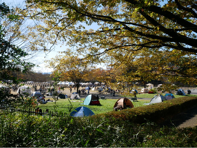 森林公園 最大の青空マルシェ 『NEW HOLIDAY』開催します（国営武蔵丘陵森林公園）