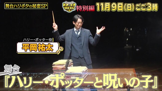 ロングラン4年目！舞台『ハリー・ポッターと呪いの子』ハリー役 平岡祐太出演　11月9日(日)TBSにて特別番組放送決定！