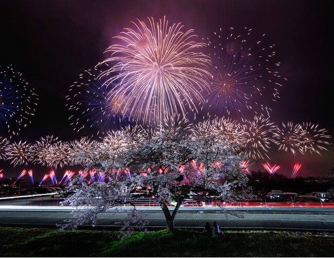 桜の季節のサーキットを、奇跡の大輪・2尺玉花火が彩る「富士山花火vsスピードウェイ2026」チケット販売開始 花火やモータースポーツを満喫できる多彩な観覧スタイル