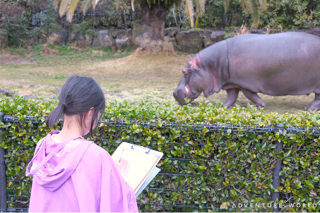 和歌山県田辺市の探究型グローカルスクール・うつほの杜学園小学校とアドベンチャーワールドが創る「いのちを通して学ぶ一日」