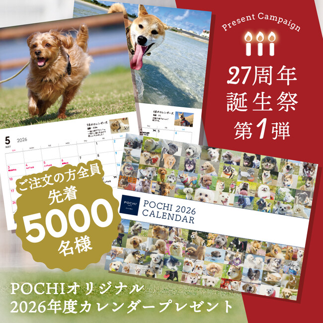 『POCHI誕生祭』第1弾を開始