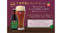 【ベアレン醸造所】岩手県宮古市特産「川井赤しそ」を使用した新たな地域連携ビール「片面紫蘇のアンバーエール」が新登場！