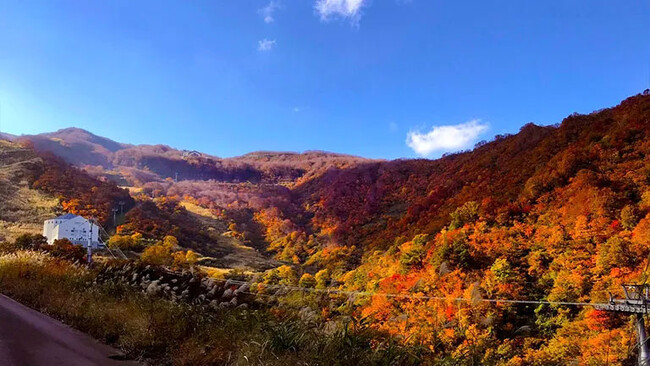 【紅葉ピーク到来】ロッテアライリゾート「紅葉ゴンドラ」で体感する、秋の空中散歩！