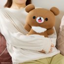 あったかぬいぐるみ チャイロイコグマ　イメージ1