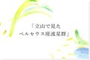 館山で見たペルセウス座流星群