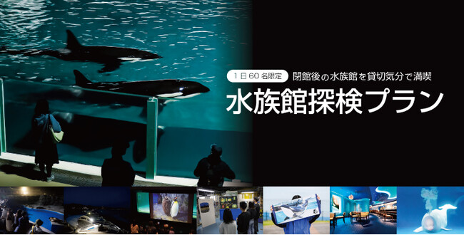 【鴨川シーワールド】1日限定60名『水族館探検プラン』開催