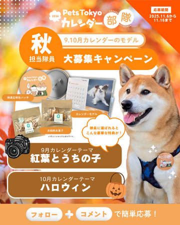 秋の思い出を大募集！「2026年Pets Tokyoカレンダー部隊」をInstagram上で開催！