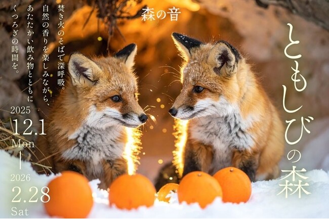 自然の香りを楽しみながらくつろぐ温活。かみのやま温泉 おやど森の音で“温活”がテーマの冬イベント「ともしびの森」を2025年12月1日(月)より開催。