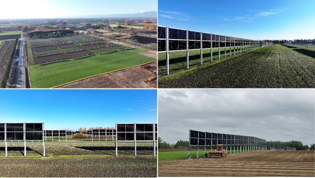 東急不動産と自然電力による、国内最大規模の垂直式営農型太陽光発電所が竣工間近