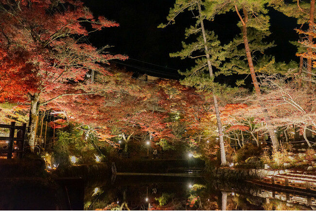 【期間限定】紅葉の穴場スポット・岩屋堂公園で「牡蠣×紅葉×BBQ」を満喫！～ライトアップされた紅葉を眺めながら、牡蠣のガンガン焼きと持ち込みBBQを楽しむ秋の贅沢体験