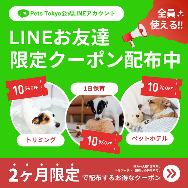 【期間限定】Pets Tokyo公式LINEにてお友達限定クーポンを配信中！