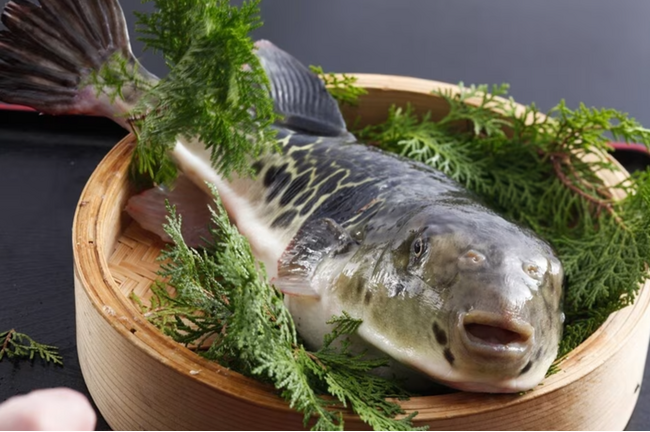 京都で味わうふぐ料理 心も体も温まる割烹たんごでぷりぷりの活〆トラフグを贅沢に味わう至福のフグ会席プラン ２０２５年度受付を予約開始