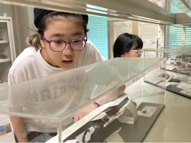 小学生の知識が、生きた知恵へと変わる瞬間。アライブのアカデミッククラスが「名古屋大学博物館」で探究学習を実施
