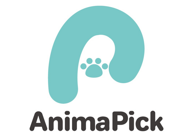 企業の広告掲載が保護犬猫の支援に！動物保護活動を支えるSNS『AnimaPick』が4周年