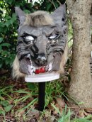 猛獣ブロック 設置正面