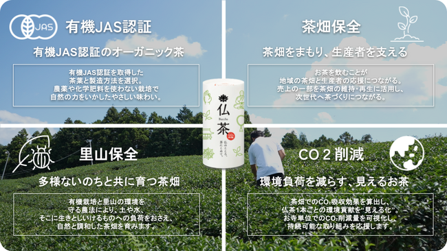 お寺限定サステナブル緑茶飲料『仏茶（Buccha）』予約販売を開始