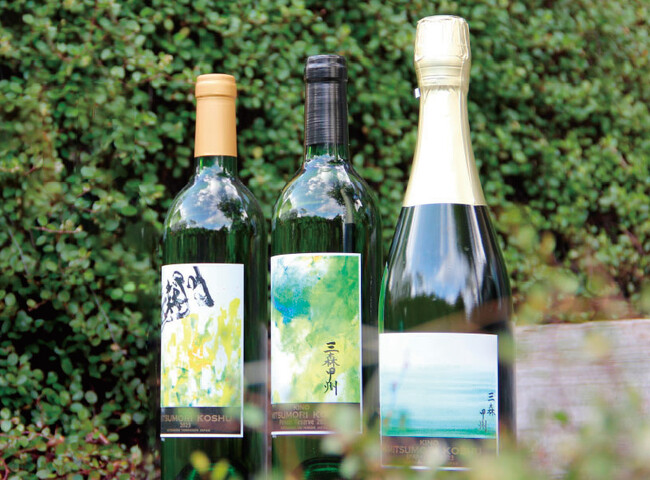 ついに！指定文化財・樹齢110年の原木「三森甲州」から枝分けした葡萄を醸造！