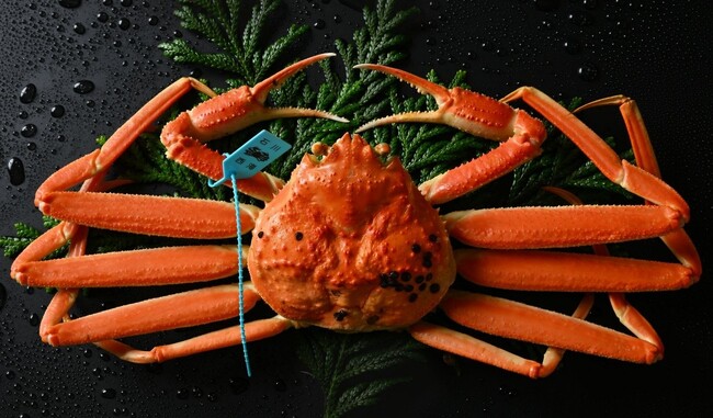 “冬の味覚の王様”11月6日解禁　休暇村能登千里浜では、国産タグ付ずわい蟹を丸ごと2杯味わう「タグ付ずわい蟹会席プレミアム」プラン販売開始