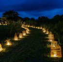 ヨシ灯りのプロムナード(ナイトミュージアムイメージ)