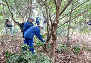 「綾町イオンの森」育樹を実施