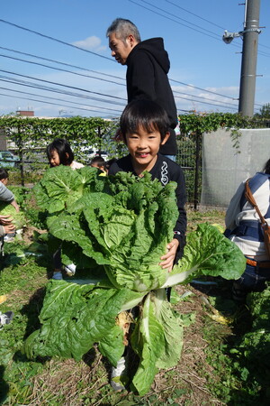 「こっそり畑」親子体験イベントを開催しました