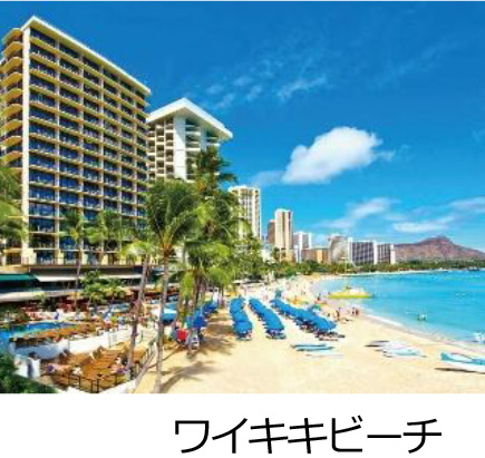 海外・個人旅行ブランド「e-very（イーベリー）」25周年記念 感謝を込めた記念旅行商品を発売 旅行グッズが当たるSNSキャンペーンも実施