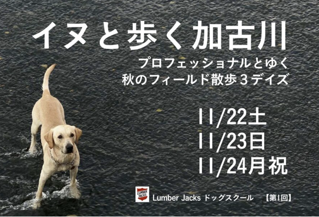 イヌと歩く加古川