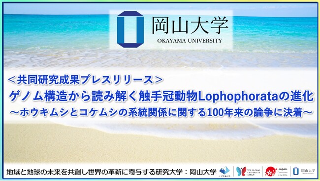 ゲノム構造から読み解く触手冠動物Lophophorataの進化～ホウキムシとコケムシの系統関係に関する100年来の論争に決着～〔中央研究院, 岡山大学, 東京大学〕
