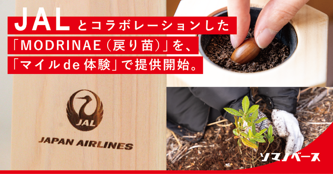 JALとコラボレーションした「MODRINAE（戻り苗）」を『マイル de 体験』で提供開始