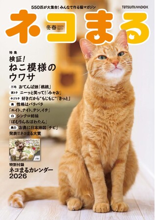 「茶トラは陽気」「三毛はツンデレ」「キジトラは用心深い」……猫の毛柄と性格のウワサは本当なのか？　全国の飼い主さんに聞きました！『ネコまる』2026冬春号 Vol.51が11月21日（金）に発売