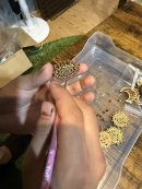 ワークショップ