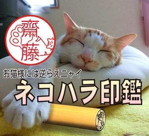 猫が名前の邪魔をするハンコ「ネコハラ印鑑」は、邪魔をされても猫には抵抗できない猫好きさんの心理から生まれたハンコです