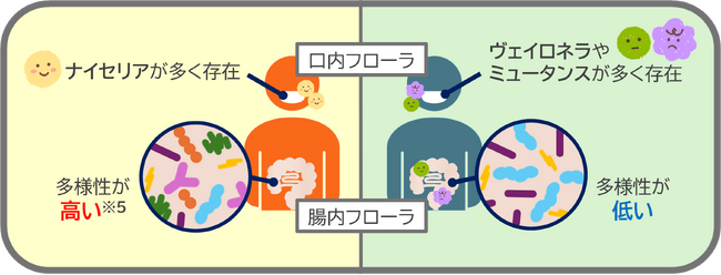 ライオンとサイキンソー、口腔・腸内細菌叢の共同研究で新知見―良好な口腔環境が腸内環境の安定に関わる可能性を示唆―